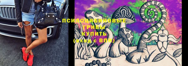 альфа пвп Горняк