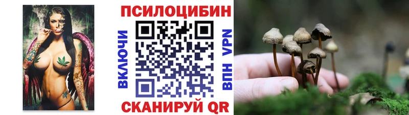 Купить где  Лабытнанги  Галлюциногенные грибы GOLDEN TEACHER 